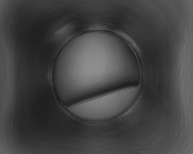X0000101171337200806270745