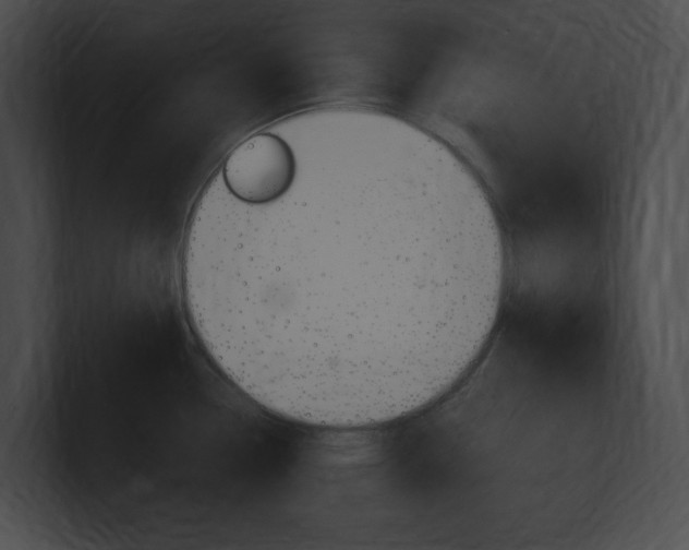 X0000101171338200806270745