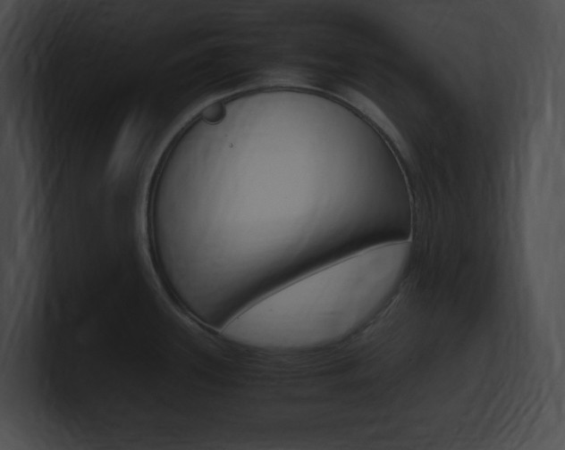 X0000101171339200806270745