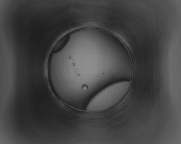X0000101171342200806270745