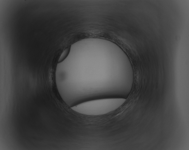 X0000101171346200806270745