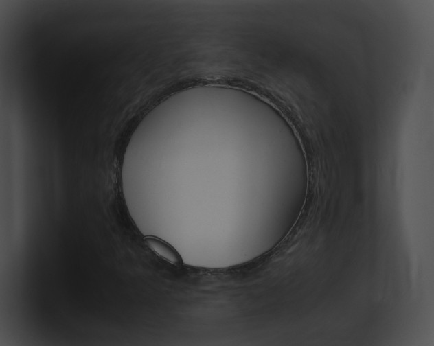 X0000101171349200806270745