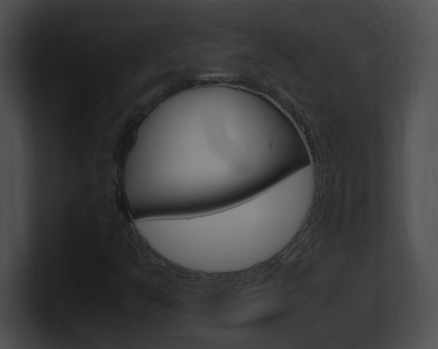 X0000101171351200806270745