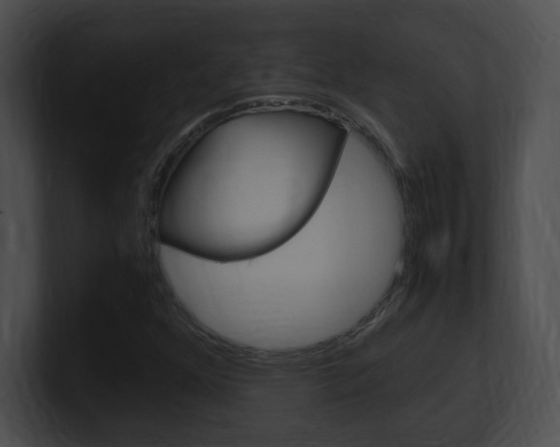 X0000101171352200806270745