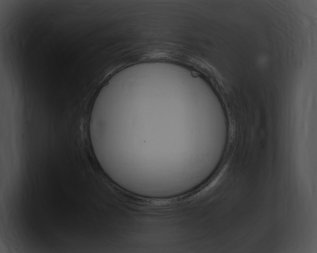 X0000101171353200806270745