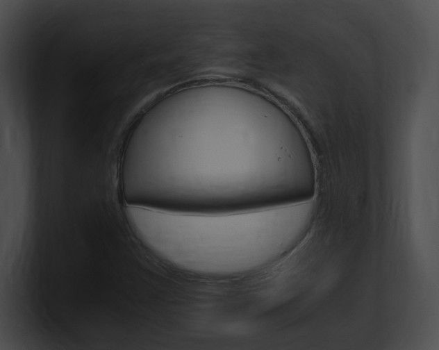 X0000101171355200806270745