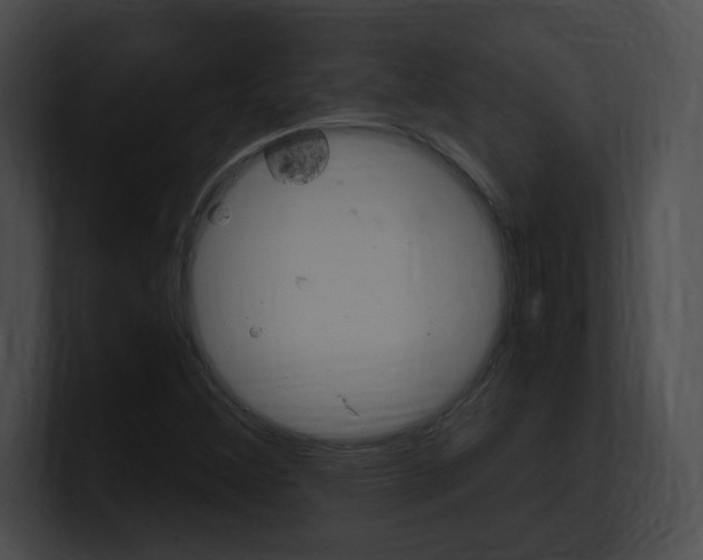 X0000101171356200806270745