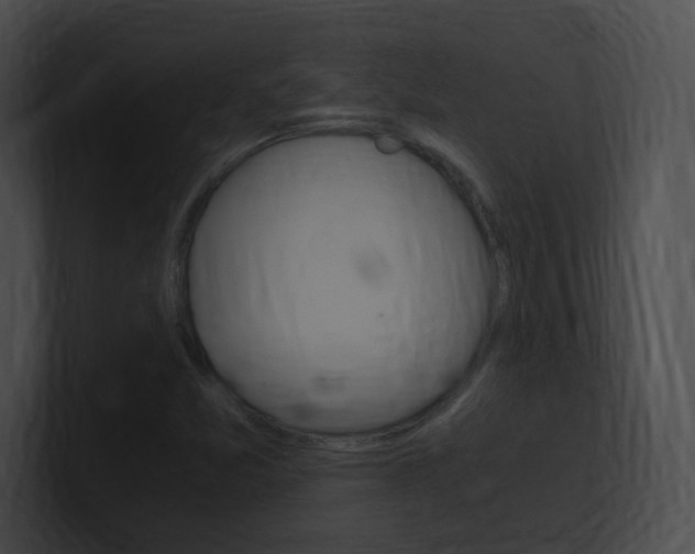 X0000101171357200806270745