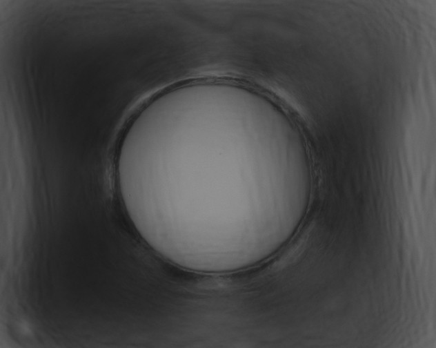 X0000101171358200806270745