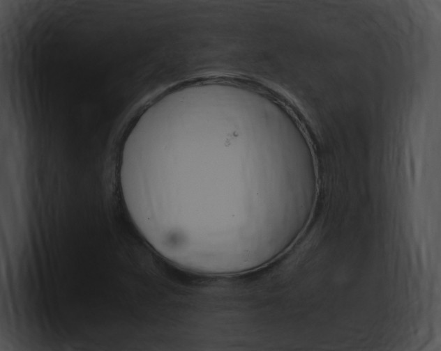 X0000101171359200806270745