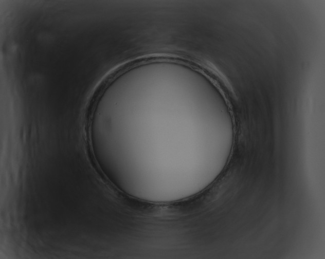 X0000101171360200806270745