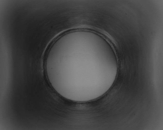 X0000101171364200806270745