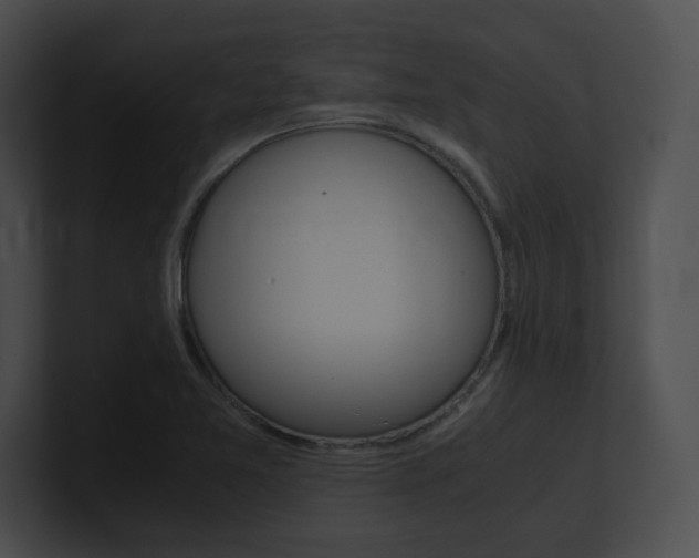 X0000101171365200806270745