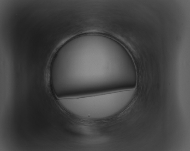 X0000101171367200806270745