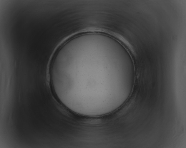 X0000101171372200806270745