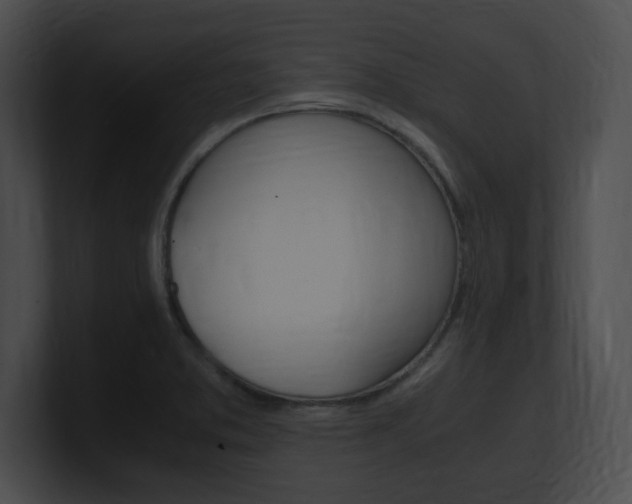 X0000101171373200806270745