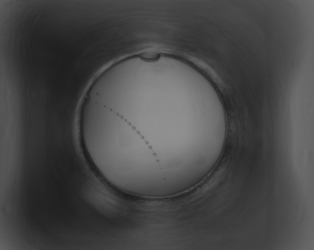 X0000101171375200806270744