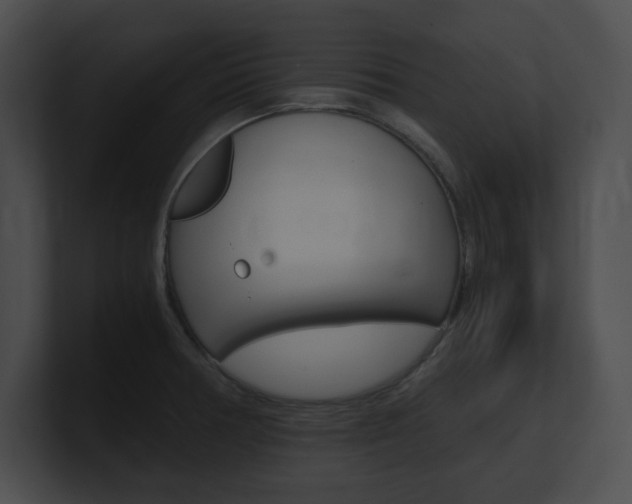 X0000101171378200806270744