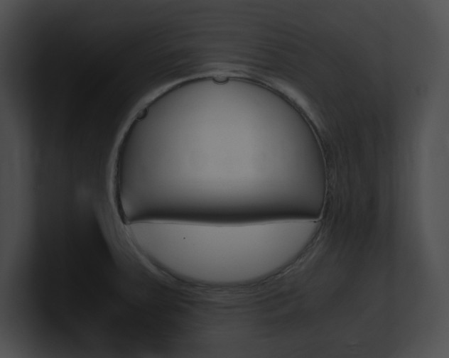 X0000101171379200806270744