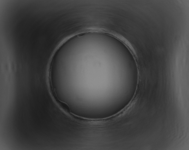X0000101171381200806270744