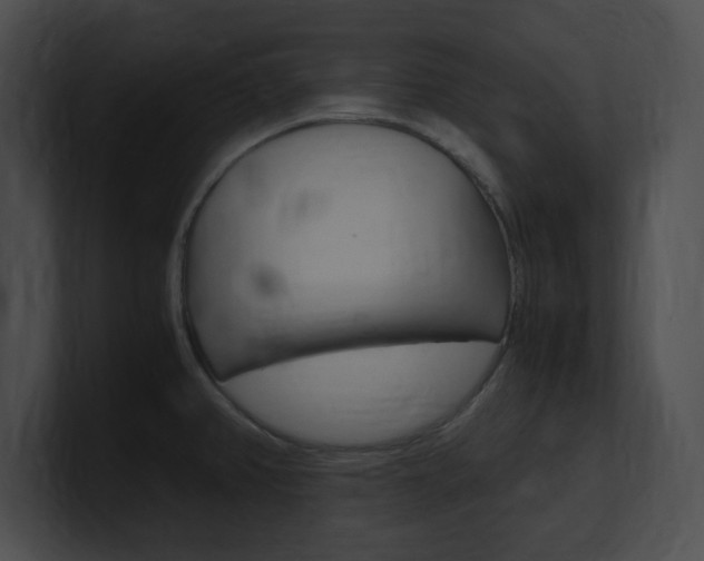 X0000101171382200806270744