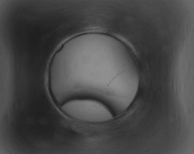 X0000101171383200806270744
