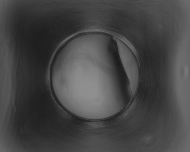X0000101171388200806270744
