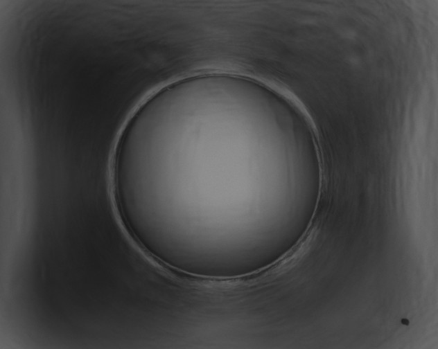 X0000101171389200806270744