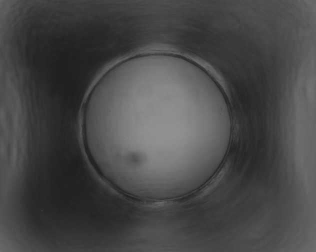 X0000101171390200806270744
