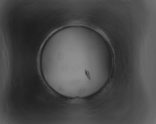 X0000101171392200806270744