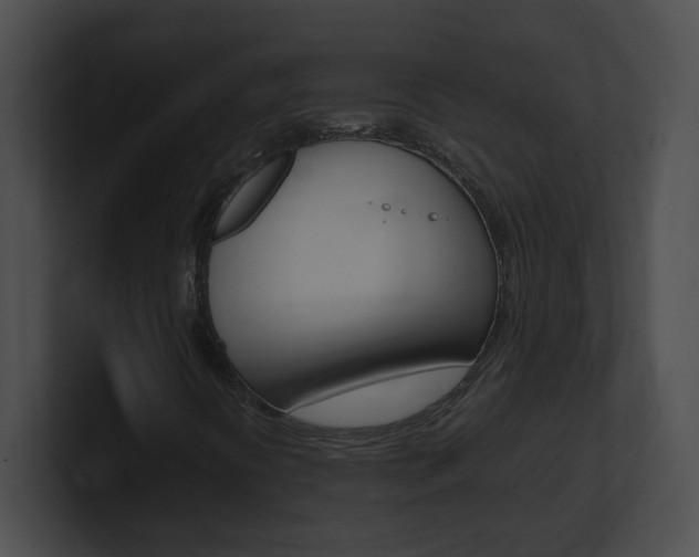 X0000101171394200806270744