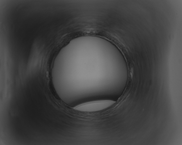 X0000101171396200806270744