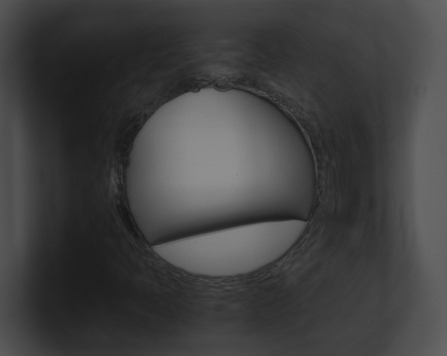 X0000101171397200806270744