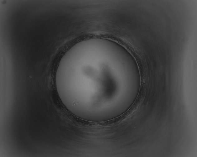 X0000101171398200806270744
