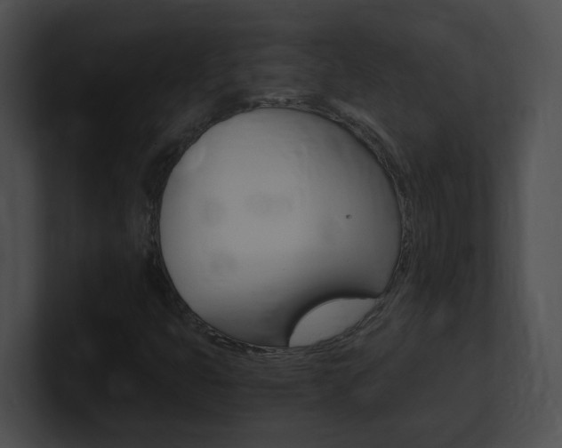 X0000101171399200806270744