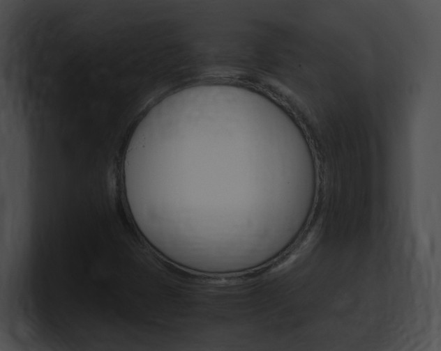 X0000101171401200806270744