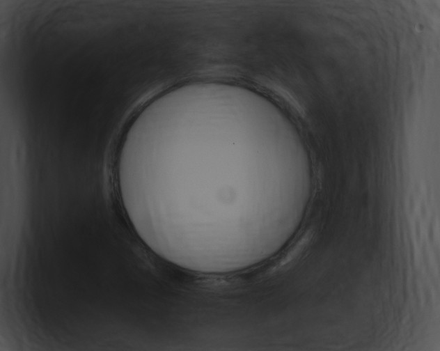 X0000101171405200806270744