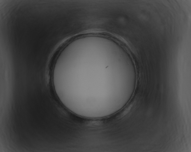 X0000101171406200806270744