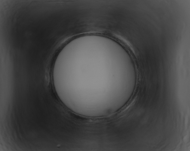 X0000101171407200806270744