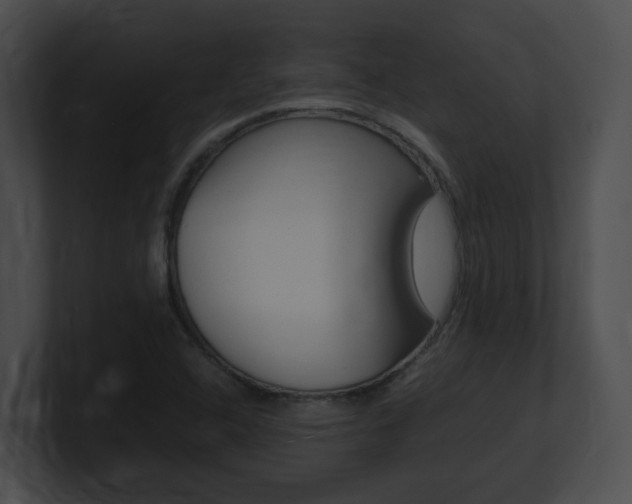 X0000101171408200806270744