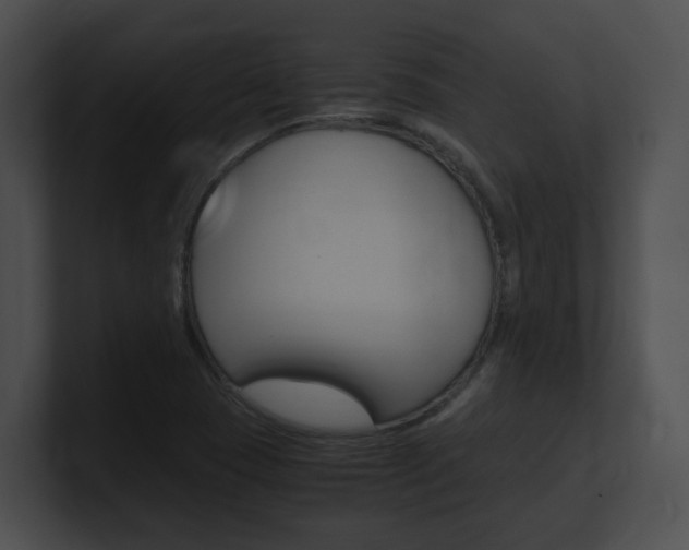 X0000101171409200806270744