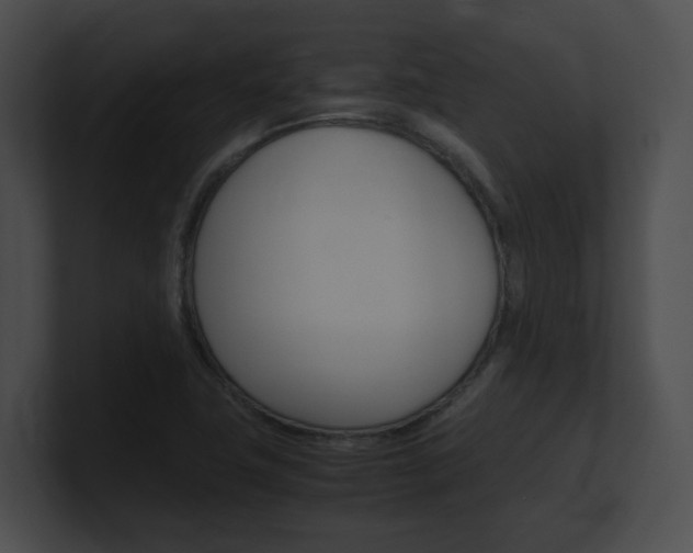X0000101171411200806270744