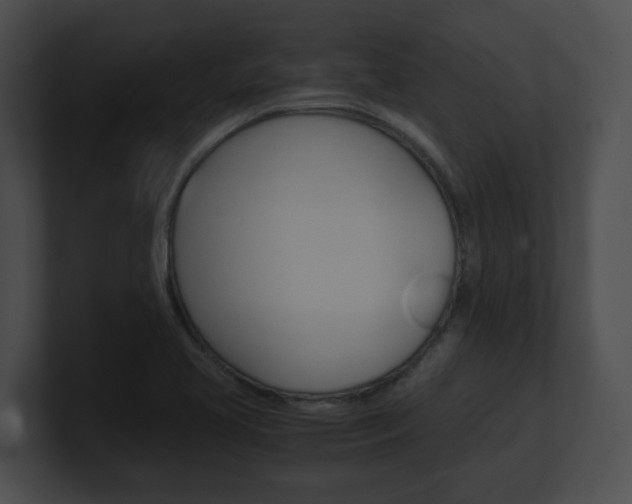 X0000101171413200806270744