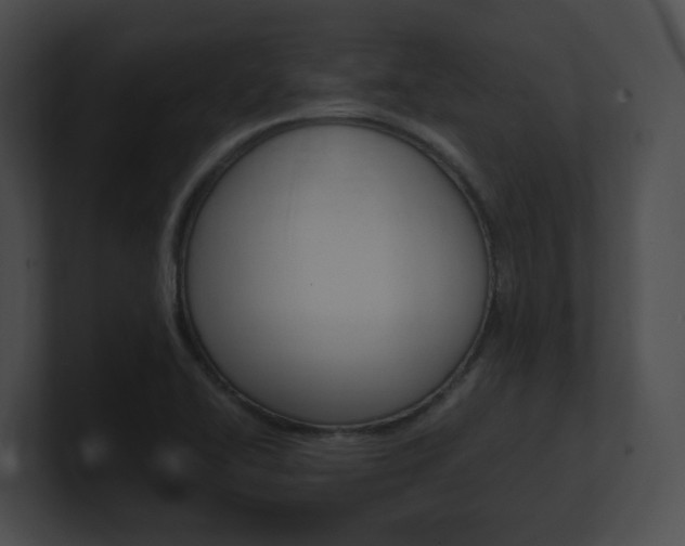 X0000101171414200806270744