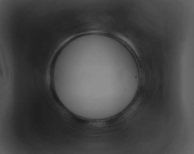 X0000101171415200806270744