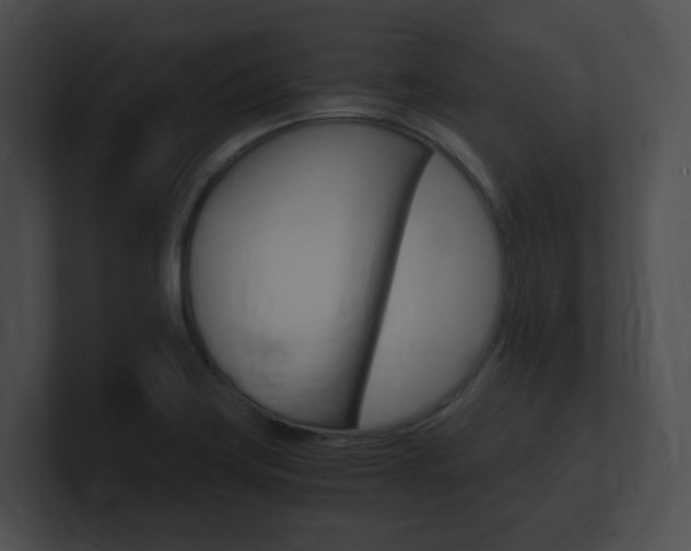 X0000101171419200806270744