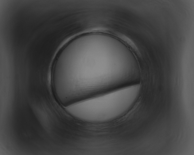 X0000101171420200806270744