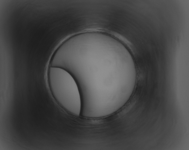 X0000101171423200806270744
