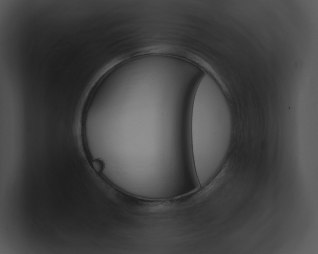 X0000101171426200806270744