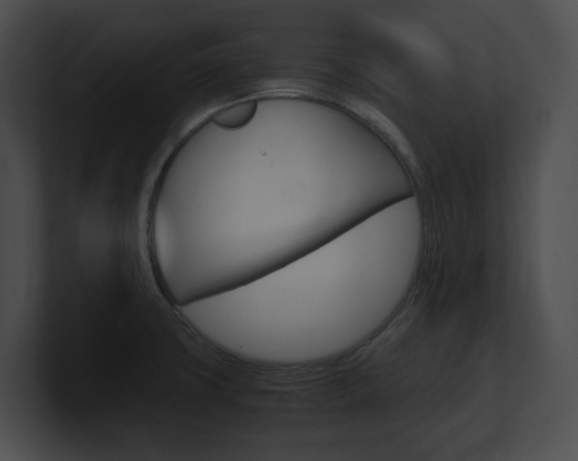 X0000101171427200806270744